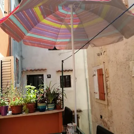 Mato